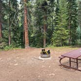 Review photo of Gore Creek Campground by Sasha T., August 11, 2026