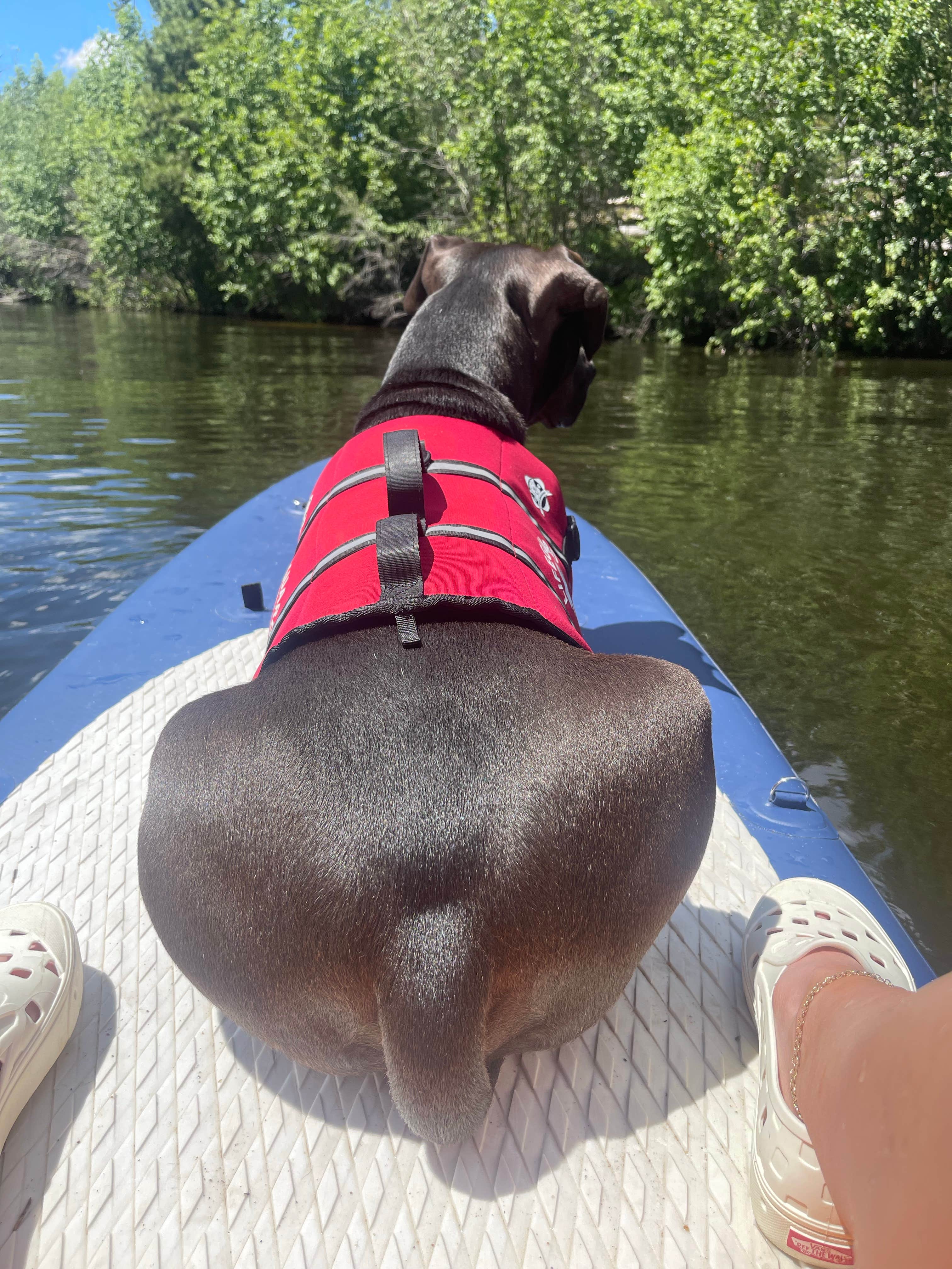 Alex D.'s photo of camping with pets at Green Ridge Campground near Grand Lake, CO