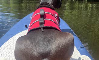 Alex D.'s photo of camping with pets at Green Ridge Campground near Rocky Mountain National Park