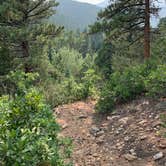 Review photo of Hayden Creek Road by gretchen , June 8, 2024