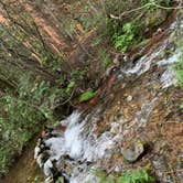 Review photo of Hayden Creek Road by gretchen , June 8, 2024