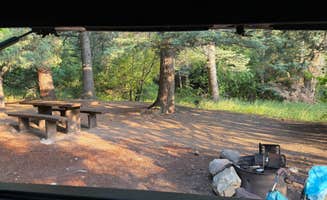 Deborah T.'s photo at Hayden Creek Road near Howard, CO