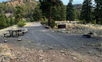 Kathy L.'s photo of camping with pets at Highway Springs Campground near South Fork, CO