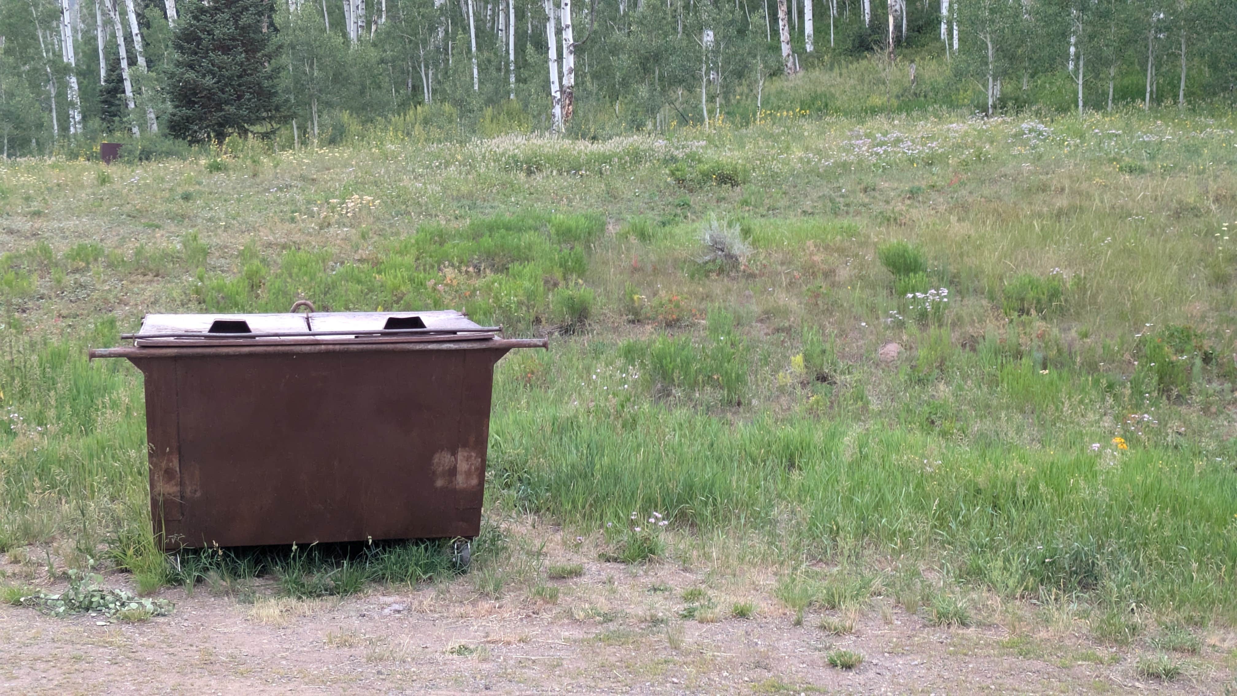 Camper submitted image from Himes Peak Campground - 5