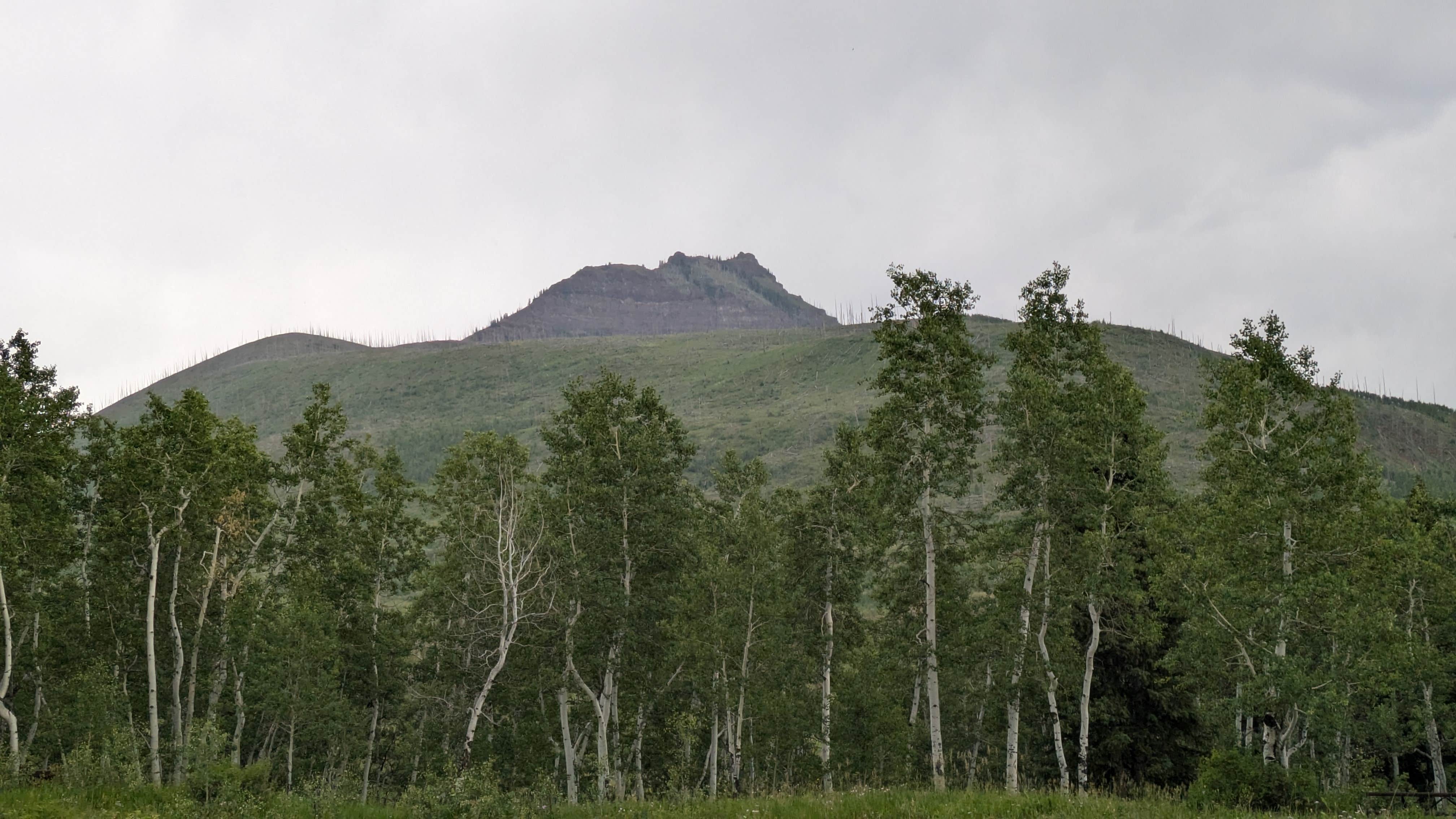 Camper submitted image from Himes Peak Campground - 1