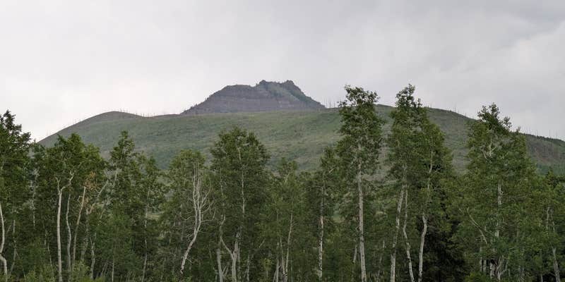 Camper submitted image from Himes Peak Campground