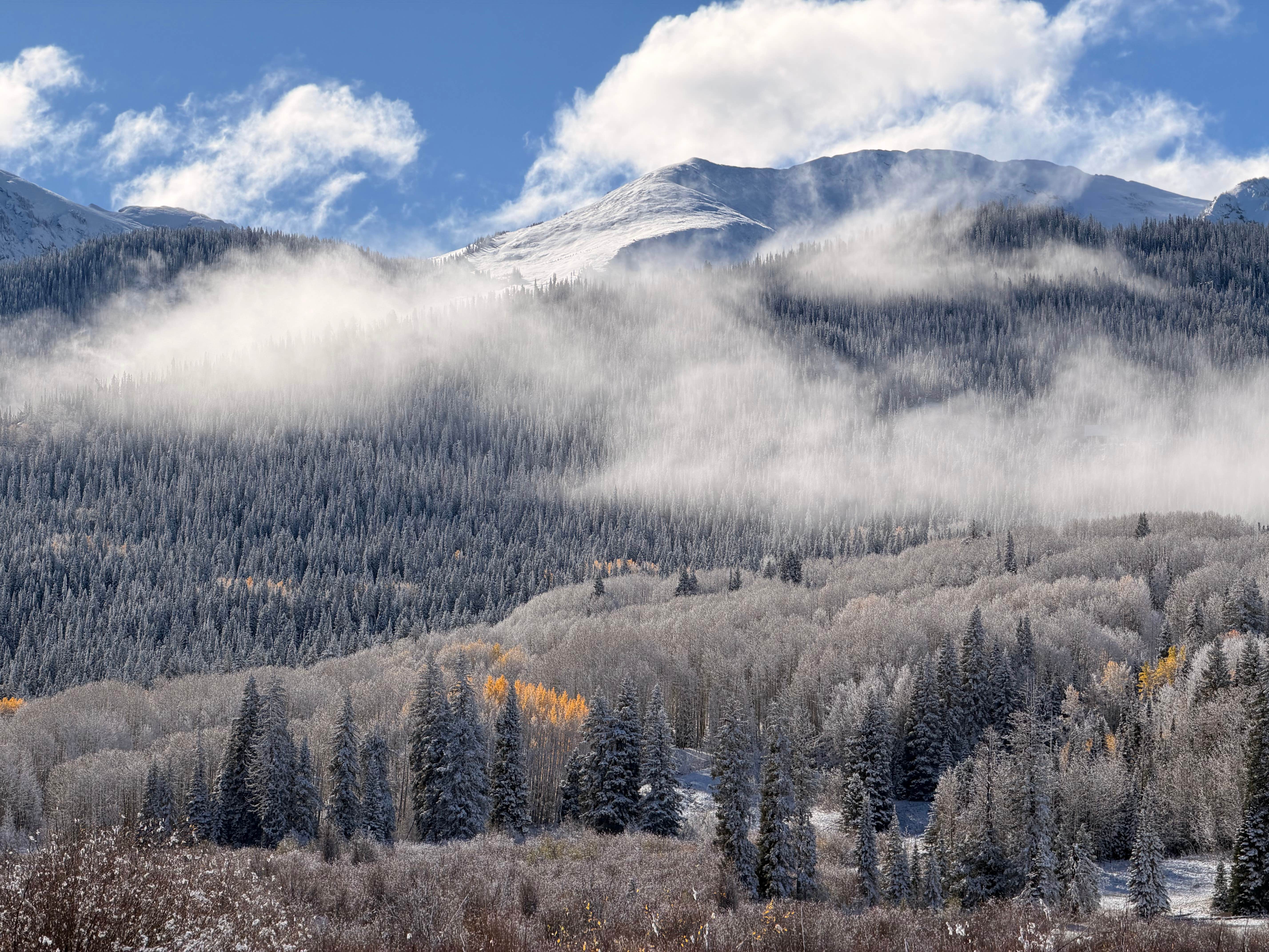 Camper-submitted photo at Horse Ranch Park (dispersed)-paonia Rd near Almont, CO