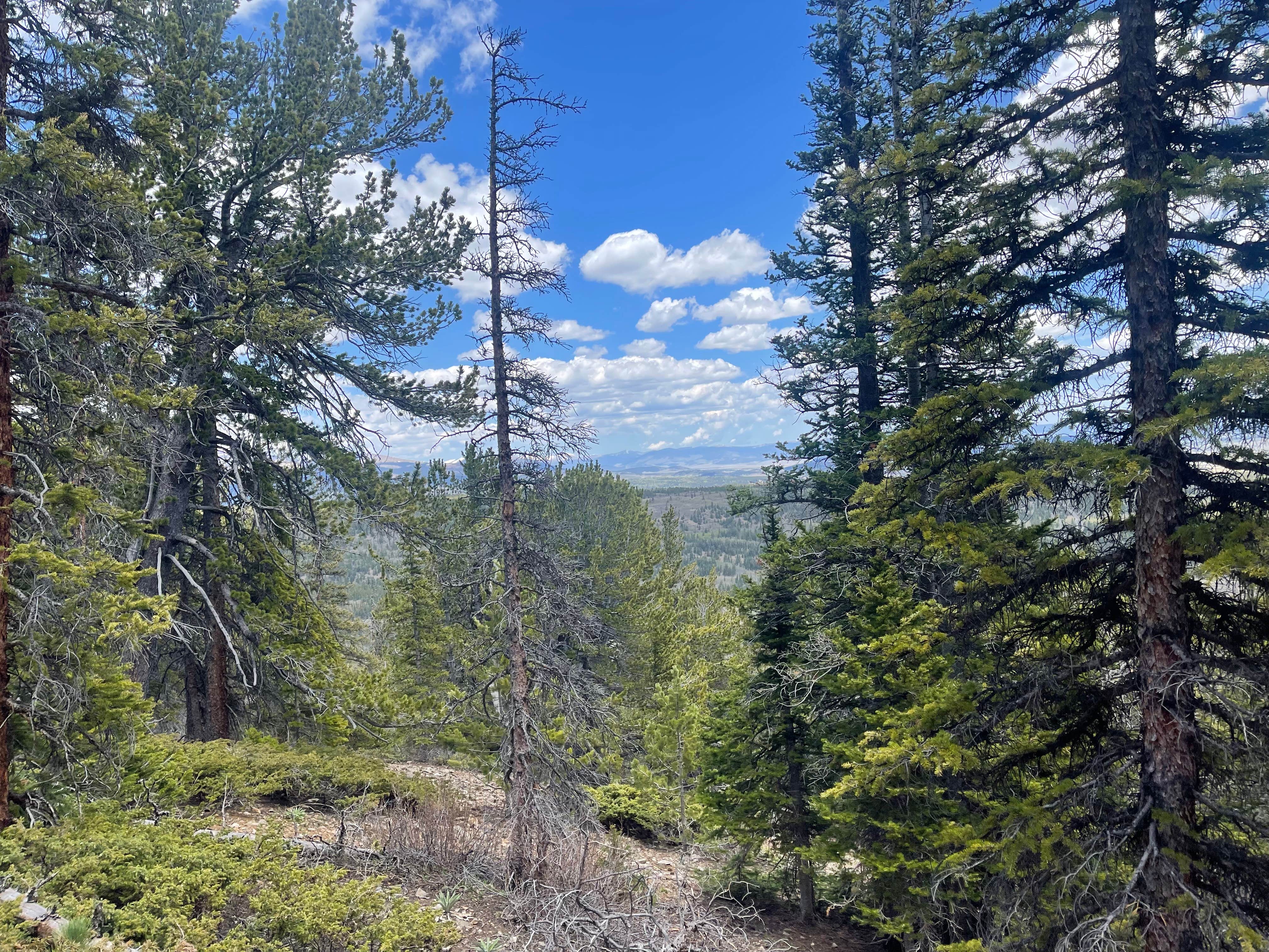 Camper-submitted photo at Horseshoe Campground near Yampa, CO