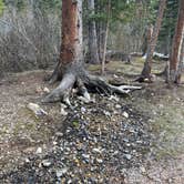Review photo of Horseshoe Campground by Lydia P., July 20, 2025