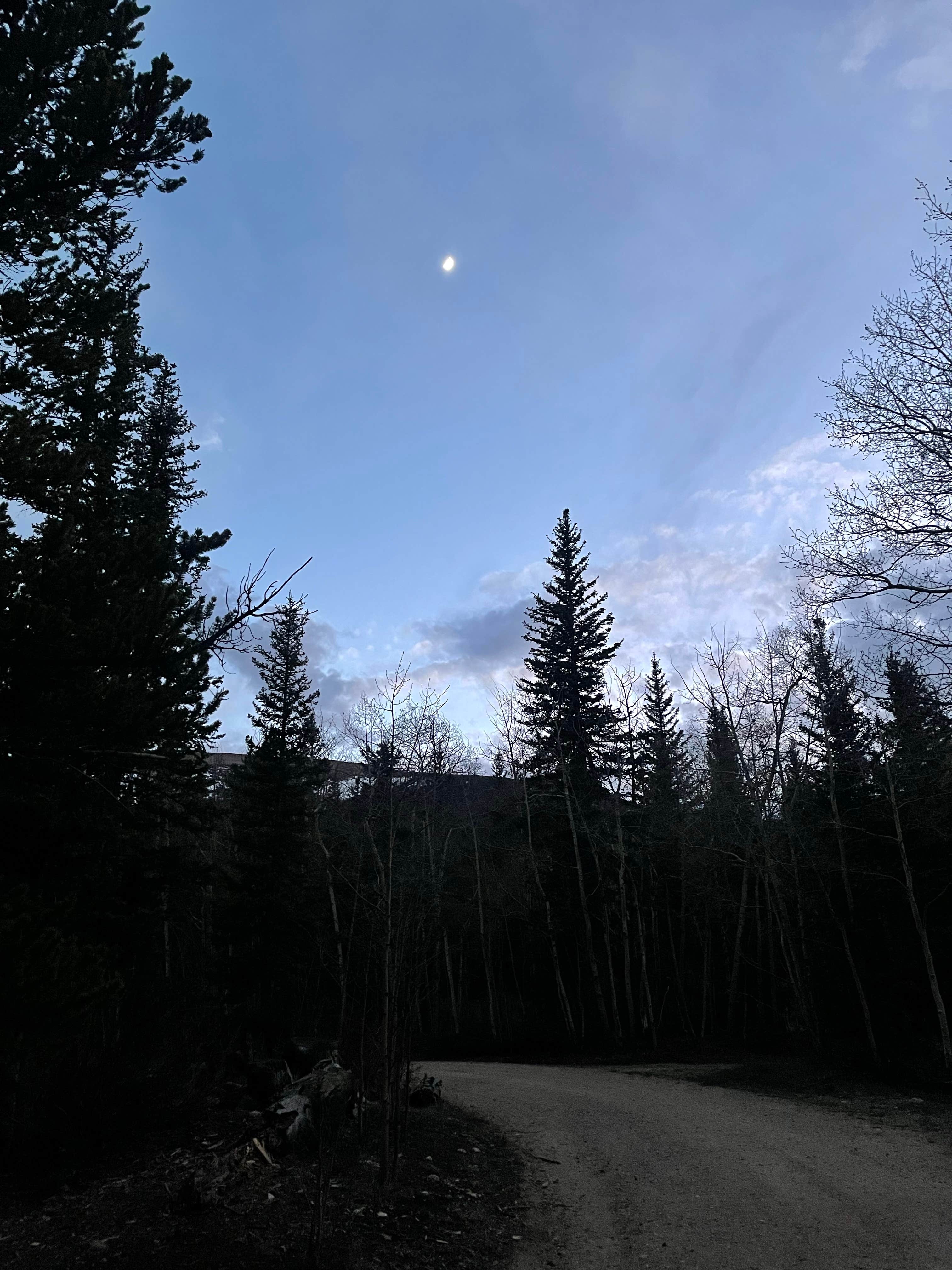 Camper submitted image from Horseshoe Campground - 5
