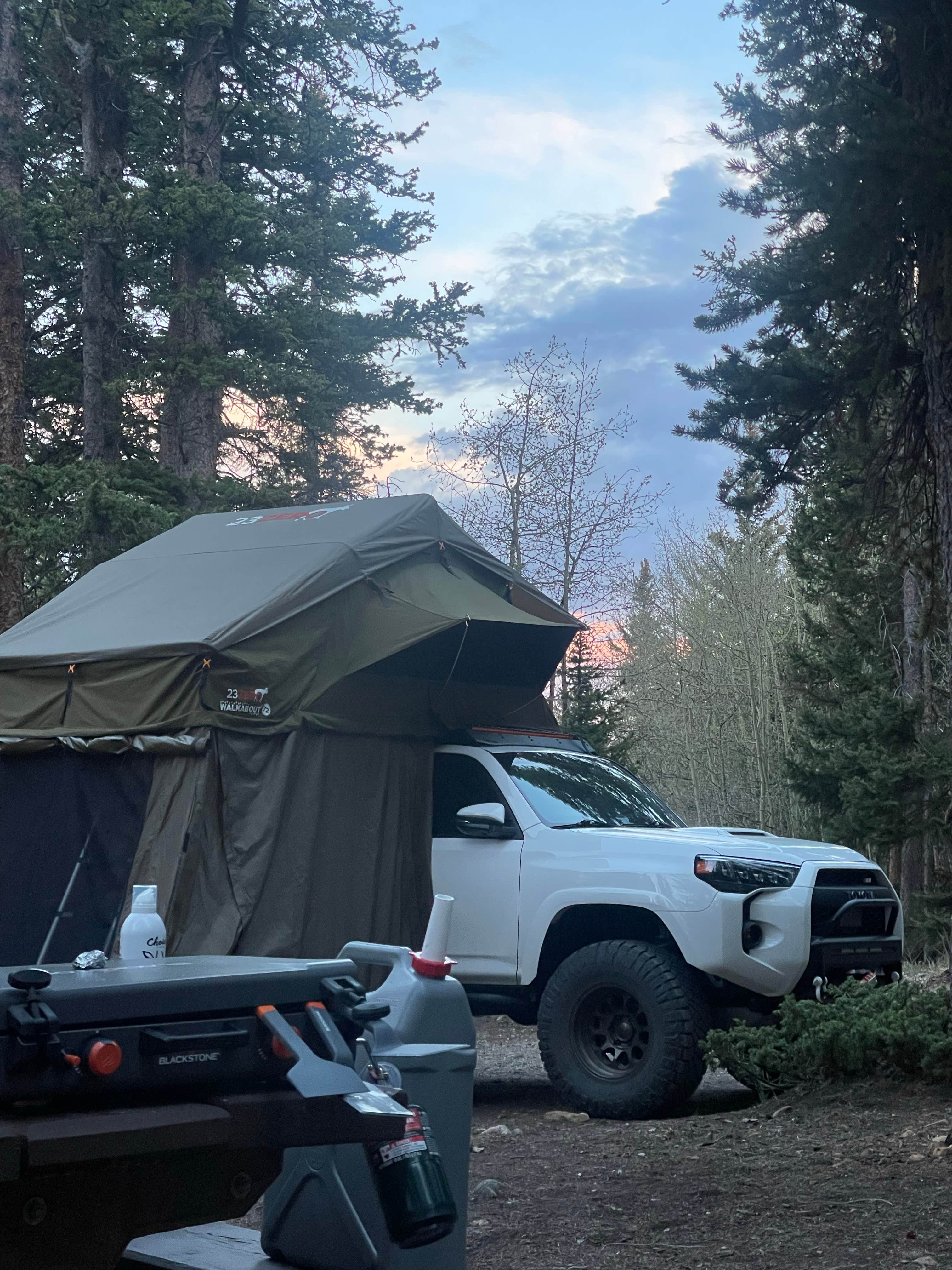 Camper submitted image from Horseshoe Campground - 1