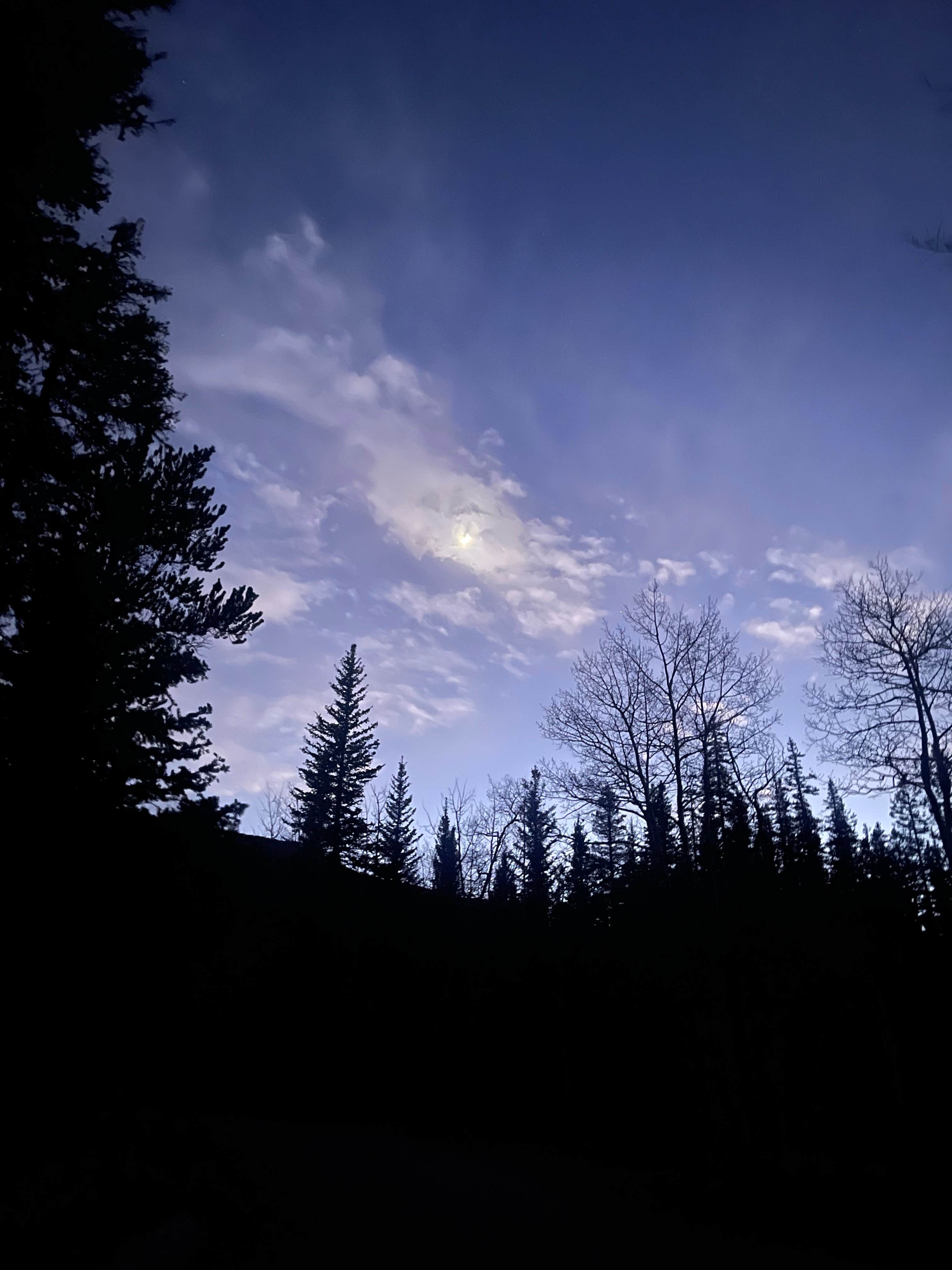 Camper-submitted photo at Horseshoe Campground near Yampa, CO