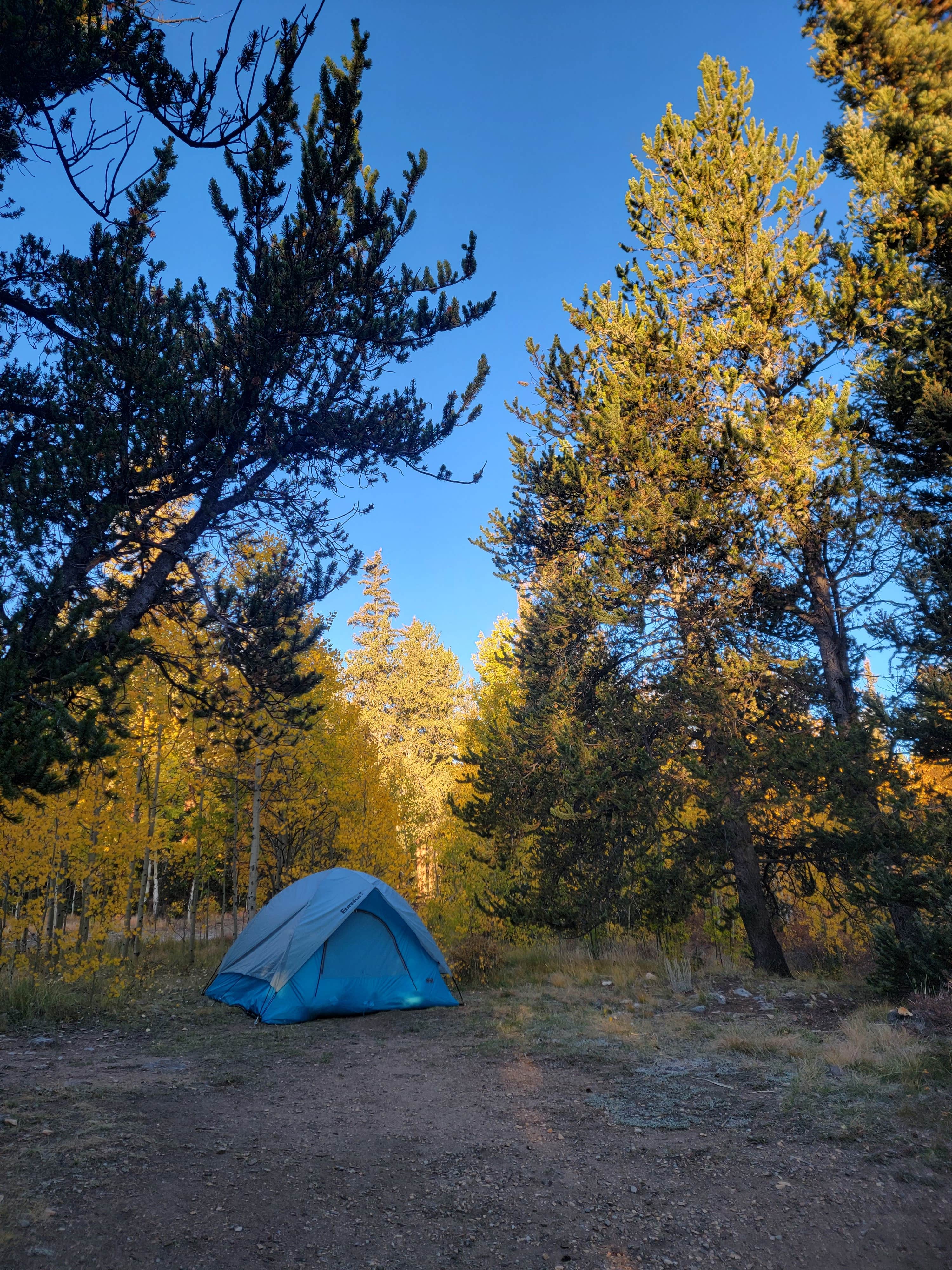 Steve's photo at Horseshoe Campground near Fairplay, CO