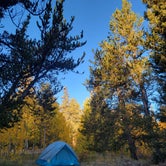 Review photo of Horseshoe Campground by Steve , October 2, 2023