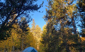 Steve's photo at Horseshoe Campground near Fairplay, CO