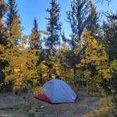 Review photo of Horseshoe Campground by Steve , October 2, 2023