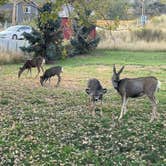 Review photo of South Bay Campground — Horsetooth Reservoir by Adam  B., October 2, 2025