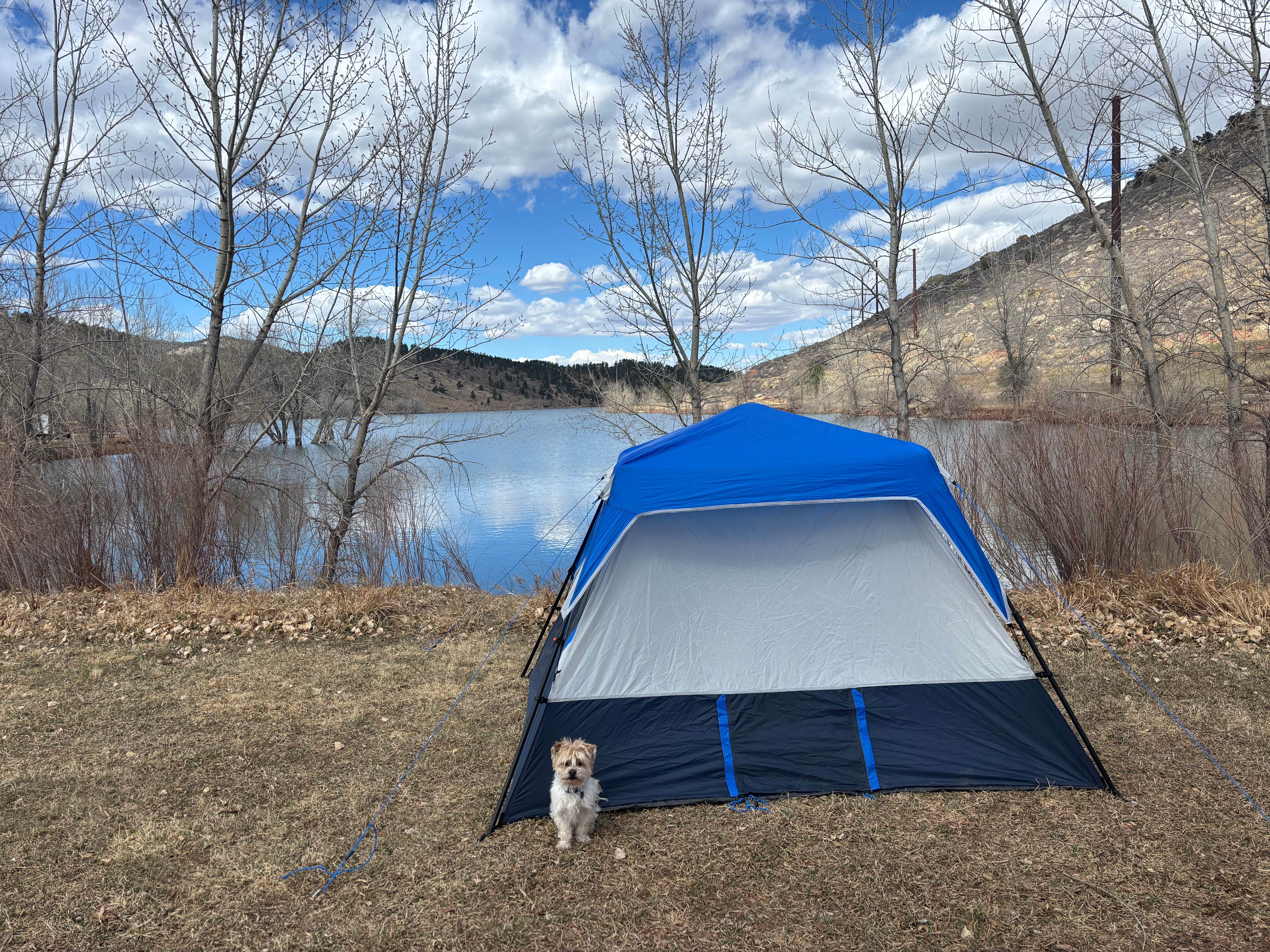 Bruce K.'s photo of camping with pets at South Bay Campground — Horsetooth Reservoir near Ault, CO