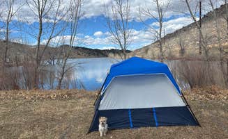 Bruce K.'s photo of camping with pets at South Bay Campground — Horsetooth Reservoir near Livermore, CO