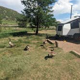 Review photo of Horsetooth Reservoir County Park South Bay by Timothy N., June 14, 2024