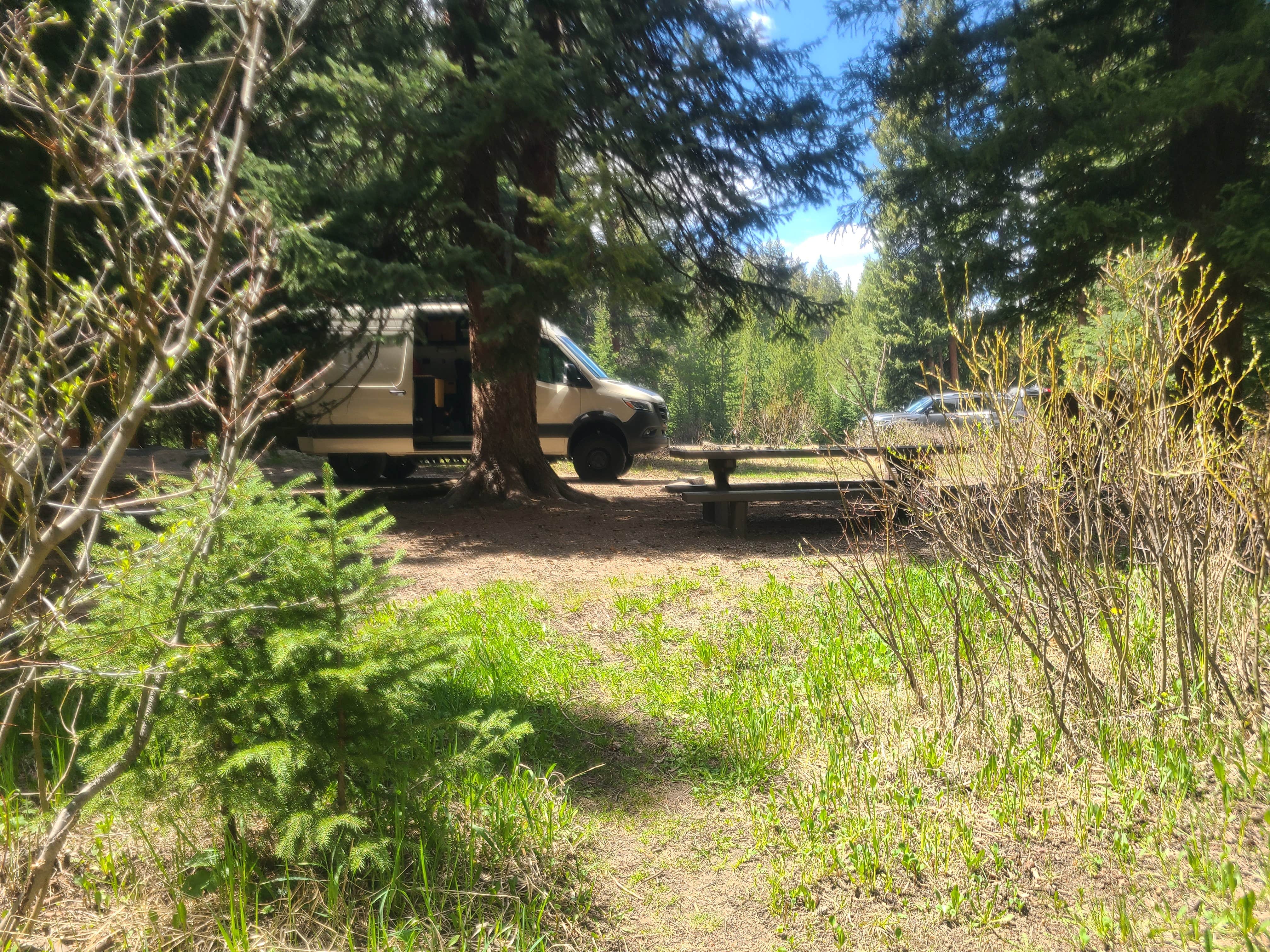 Camper-submitted photo at Idlewild Campground near Fraser, CO
