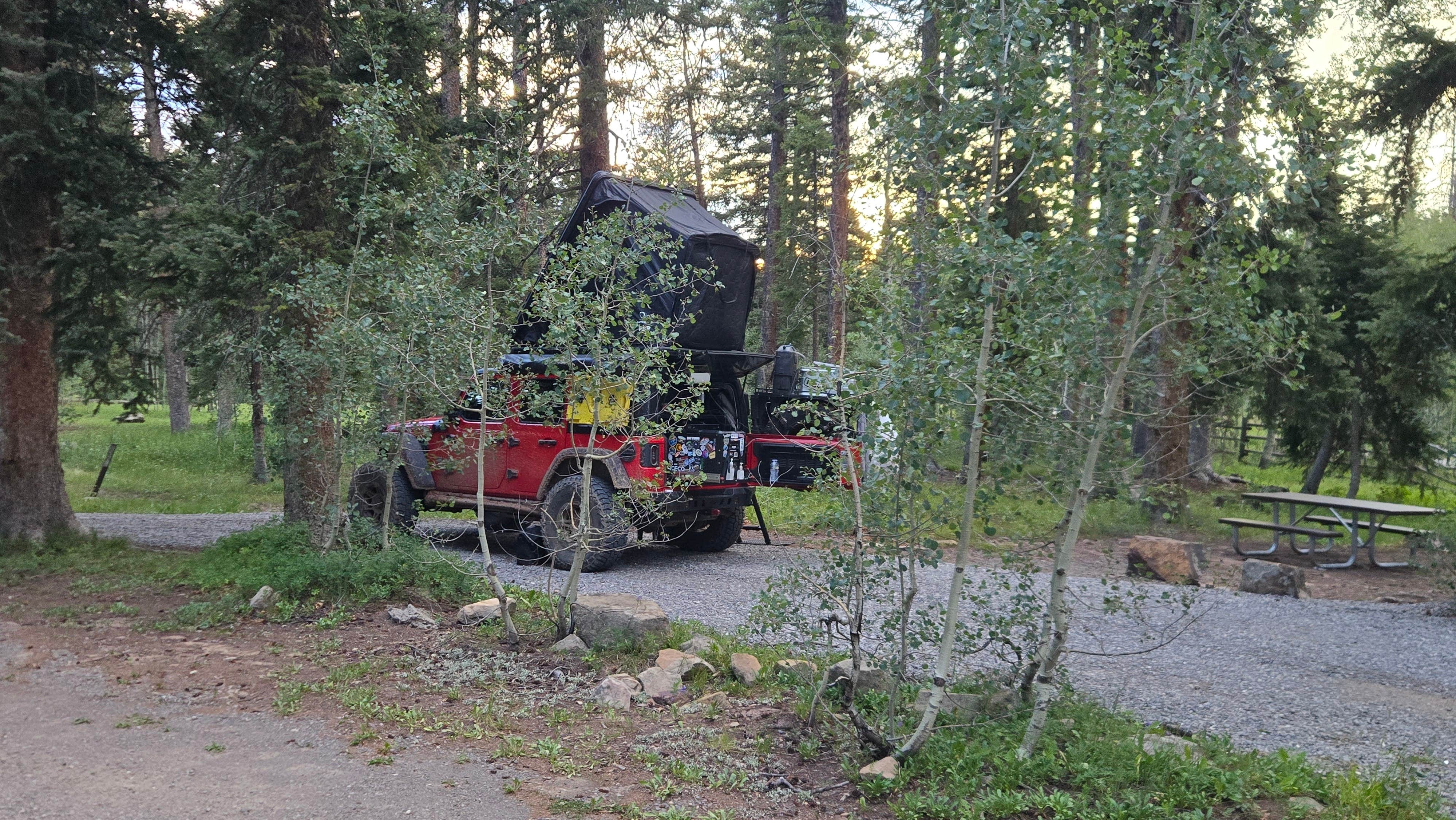Camping near Columbine Campground - Uncompahgre Forest Western CO: Iron Springs Campground, Grand Mesa, Uncompahgre and Gunnison National Forests, Colorado