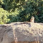 Review photo of Island Lake Campground by melissa D., August 28, 2026