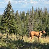 Review photo of Island Lake Campground by melissa D., August 28, 2026