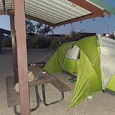 Review photo of Fruita Section Camping — James M. Robb Colorado River State Park by Alan W., September 10, 2026