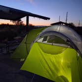 Review photo of Fruita Section Camping — James M. Robb Colorado River State Park by Alan W., September 10, 2026