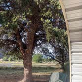 Review photo of Island Acres Section Camping — James M. Robb Colorado River State Park by Emely T., May 17, 2026
