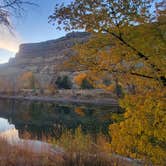 Review photo of Island Acres Section Camping — James M. Robb Colorado River State Park by Renee T., November 11, 2023