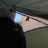 Review photo of Island Acres Section Camping — James M. Robb Colorado River State Park by Emely T., May 17, 2026