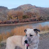 Review photo of James M. Robb Colorado River — Island Acres Section Camping by Renee T., November 11, 2023