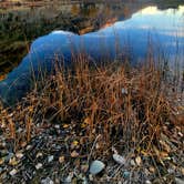 Review photo of Island Acres Section Camping — James M. Robb Colorado River State Park by Renee T., November 11, 2023