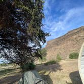 Review photo of Island Acres Section Camping — James M. Robb Colorado River State Park by Emely T., May 17, 2026