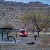Review photo of Island Acres Section Camping — James M. Robb Colorado River State Park by Renee T., November 11, 2023