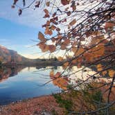 Review photo of Island Acres Section Camping — James M. Robb Colorado River State Park by Renee T., November 11, 2023