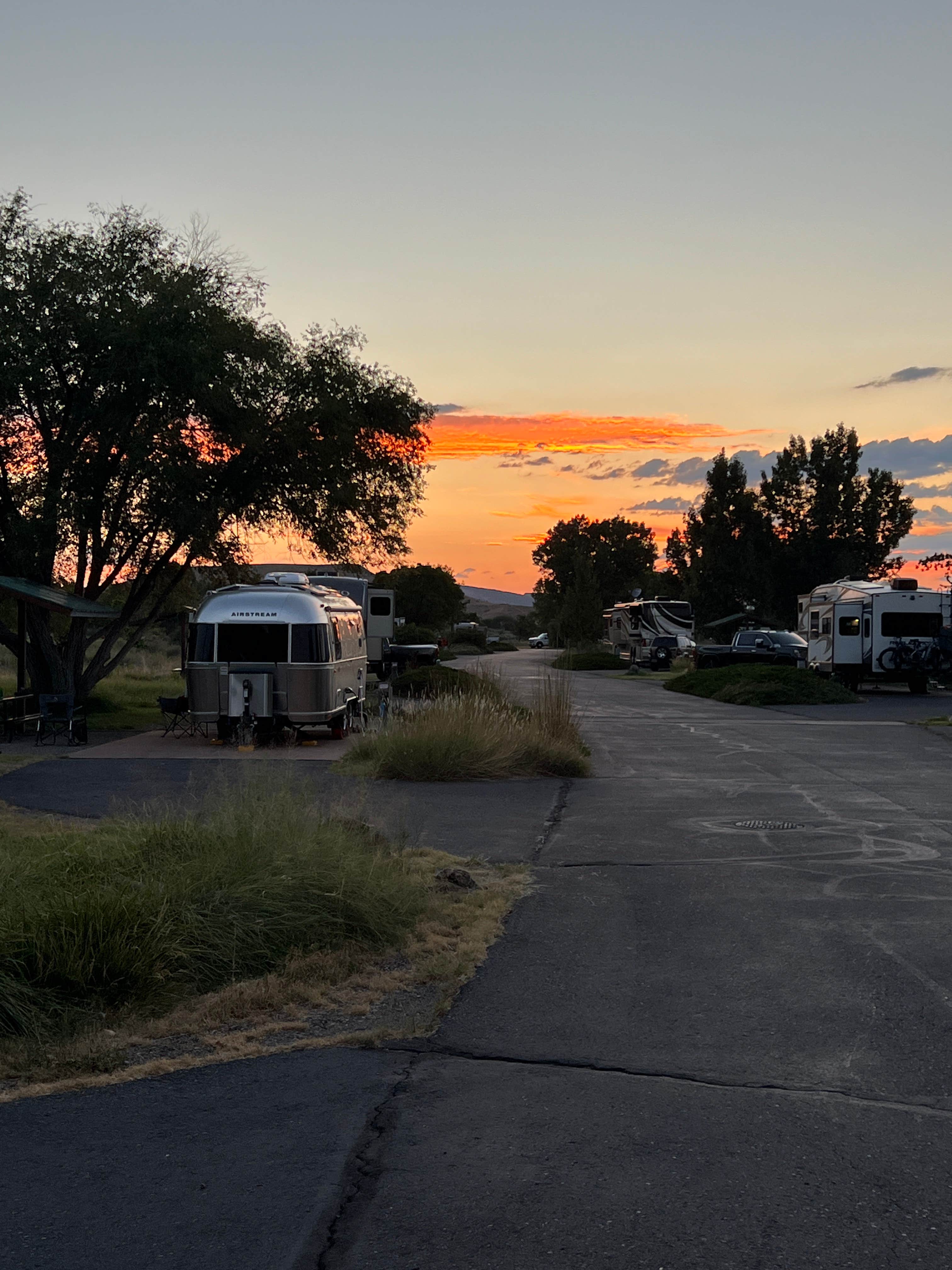 Randy P.'s photo of rv camping at Island Acres Section Camping — James M. Robb Colorado River State Park near Fruita, CO