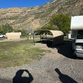 Review photo of Island Acres Section Camping — James M. Robb Colorado River State Park by David L., April 16, 2026