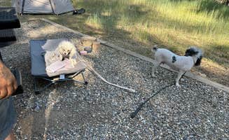 Tabitha M.'s photo of camping with pets at Junction Creek Campground near Purgatory, CO