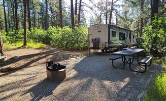 Texas Roving Ranger's photo at Junction Creek Campground near San Juan National Forest