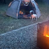 Review photo of Junction Creek Campground by Tabitha M., July 8, 2025