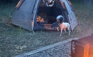 Tabitha M.'s photo at Junction Creek Campground near Purgatory, CO