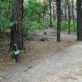 Review photo of Junction Creek Campground by Roger W., June 15, 2024