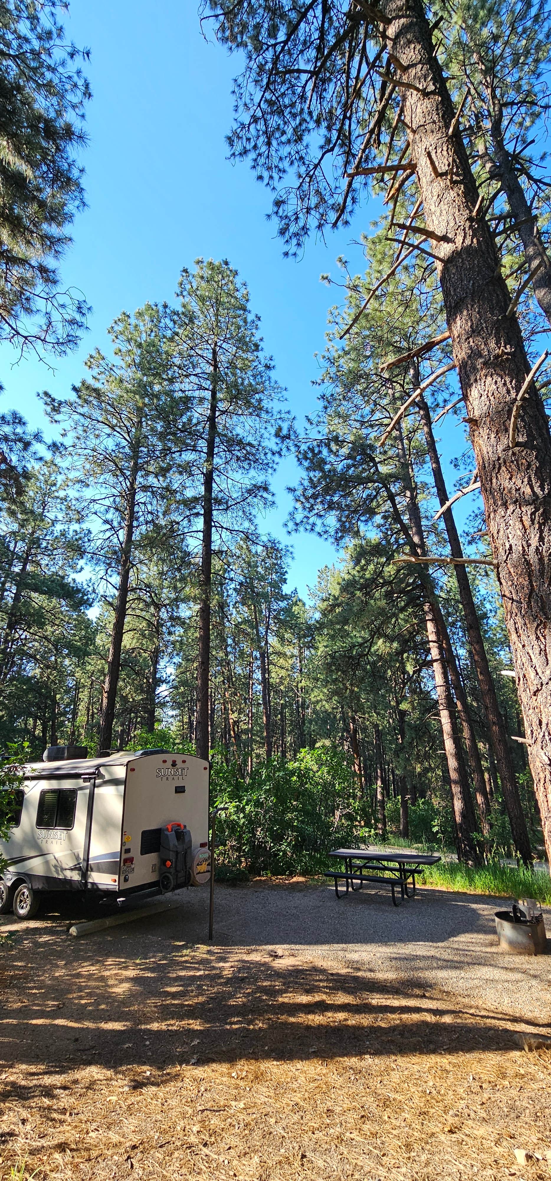 Texas Roving Ranger's photo at Junction Creek Campground near San Juan National Forest