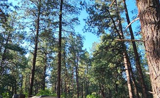 Texas Roving Ranger's photo at Junction Creek Campground near San Juan National Forest