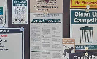 Texas Roving Ranger's photo of camping with pets at Junction Creek Campground near San Juan National Forest