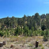 Review photo of Kelly Dahl by Doug L., October 11, 2023