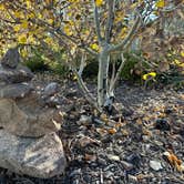 Review photo of Kelly Dahl by Doug L., October 11, 2023